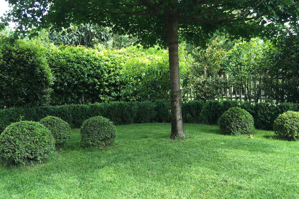 Photo of Outdoor in San Giuliano Milanese