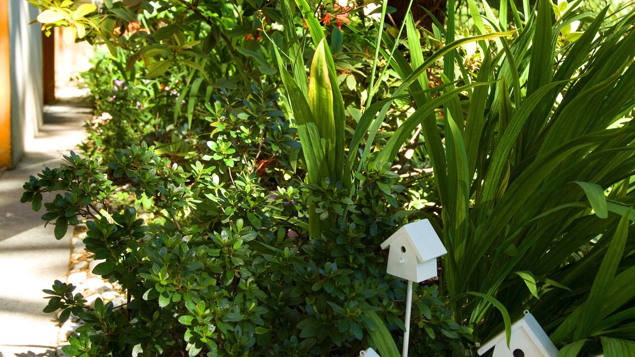 Photo of Outdoor in Darfo Boario Terme