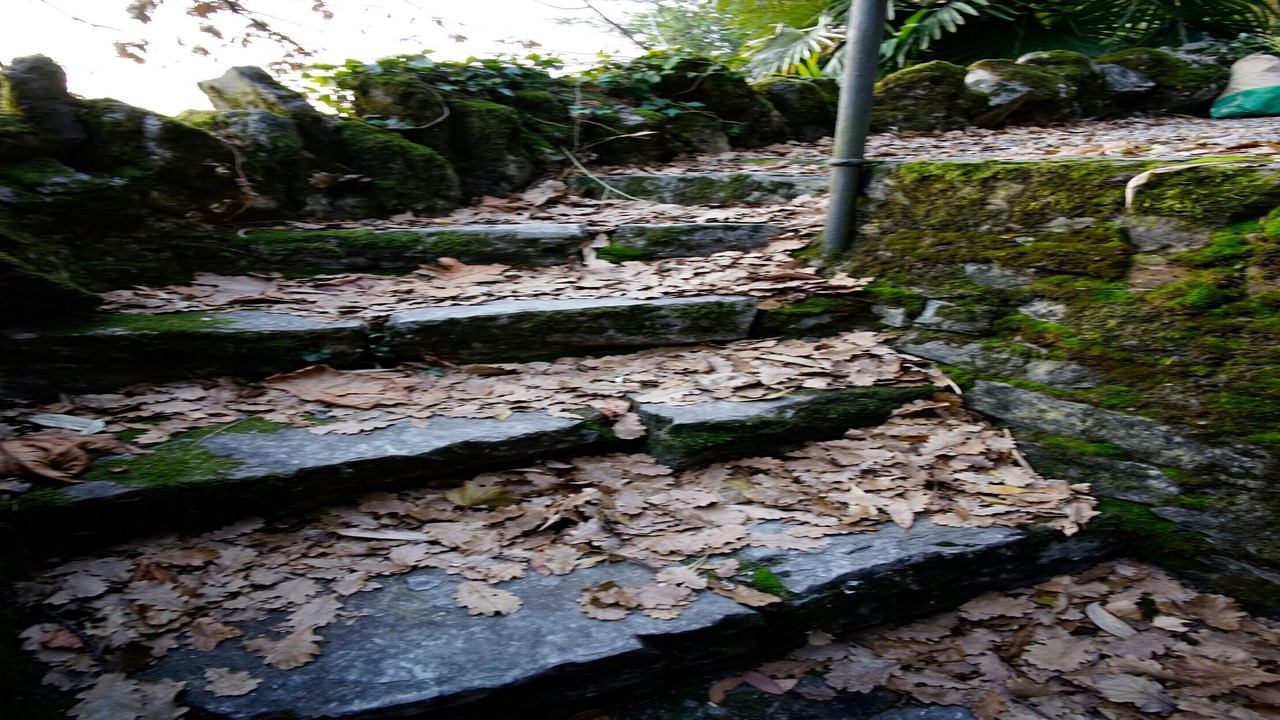 Photo of Outdoor in Menaggio