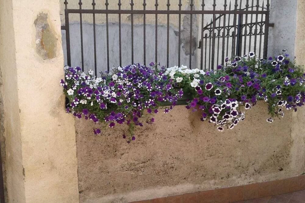 Photo of Outdoor in Bossico