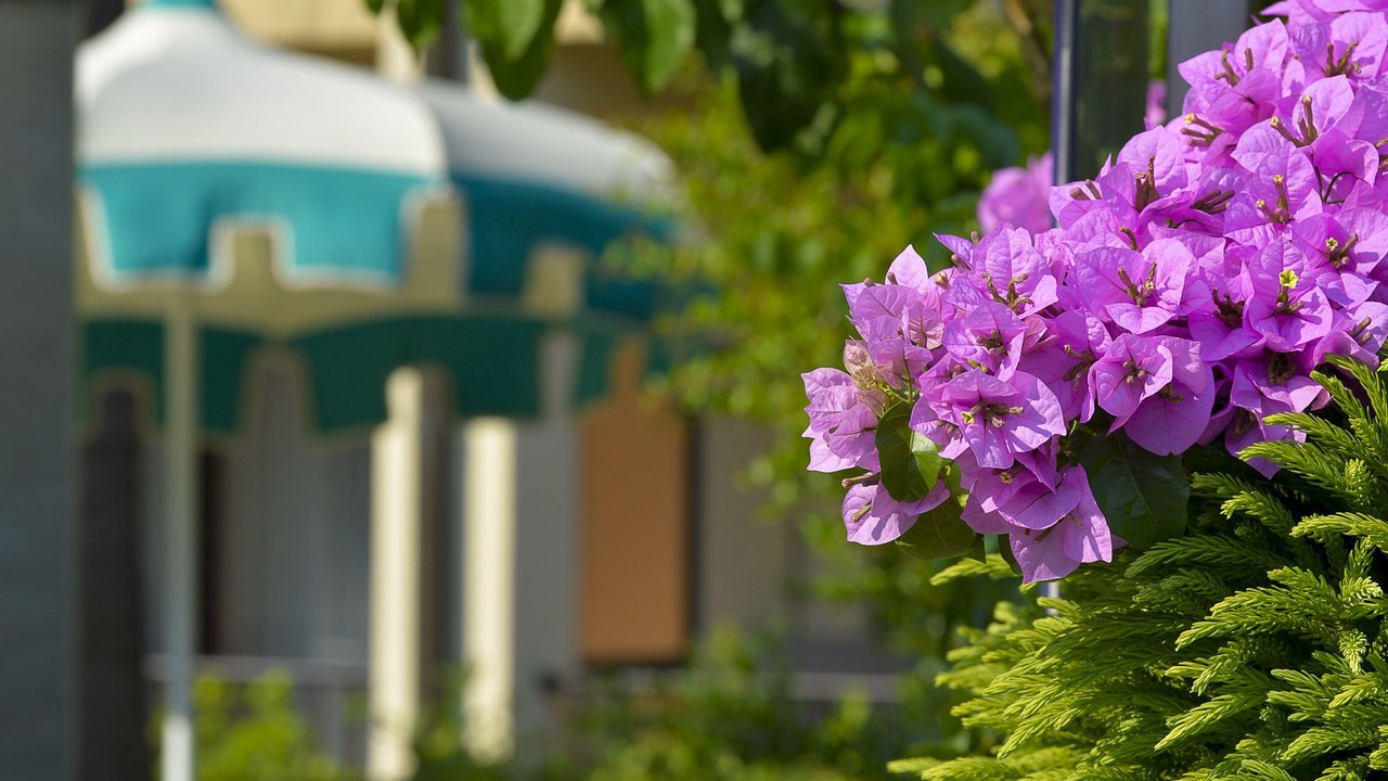 Photo of Outdoor in Limone sul Garda