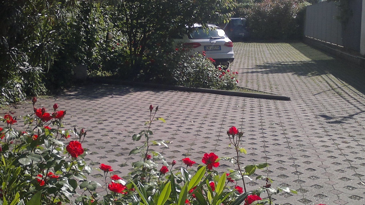 Photo of Outdoor in Segrate