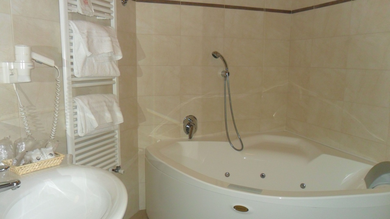 Photo of Bathroom in Segrate