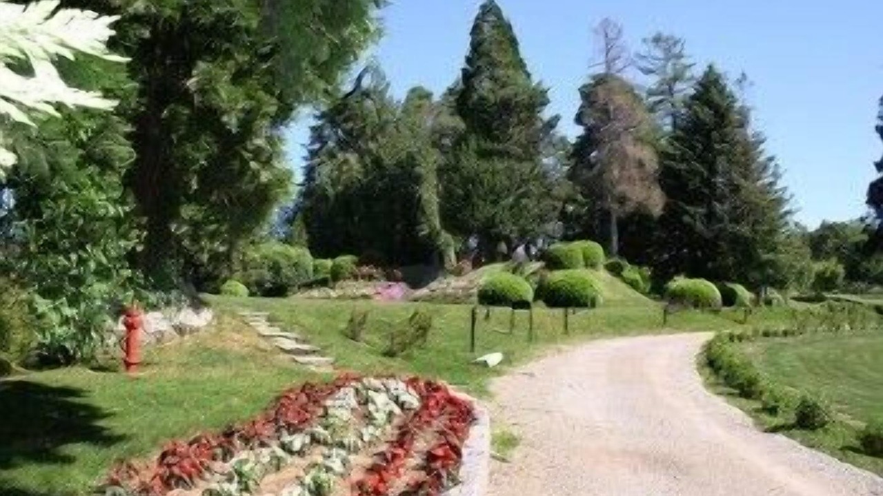 Photo of Outdoor in Carnago