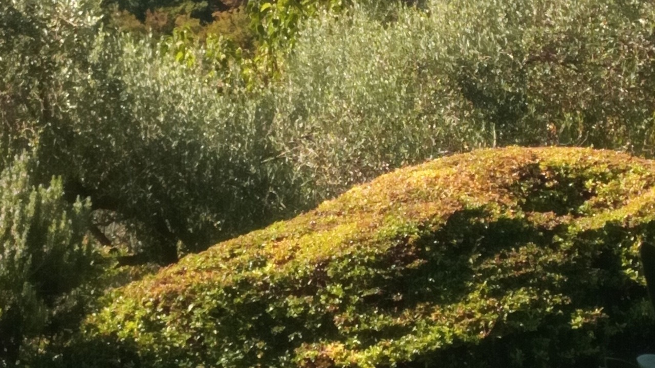 Photo of Outdoor in Renzano