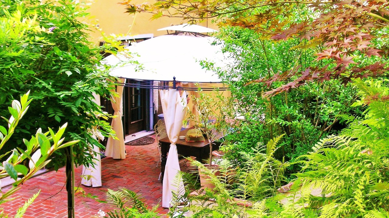 Photo of Outdoor in Taino