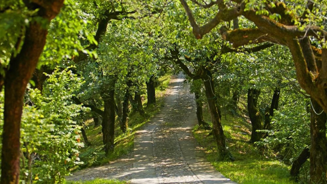 Photo of Outdoor in Iseo
