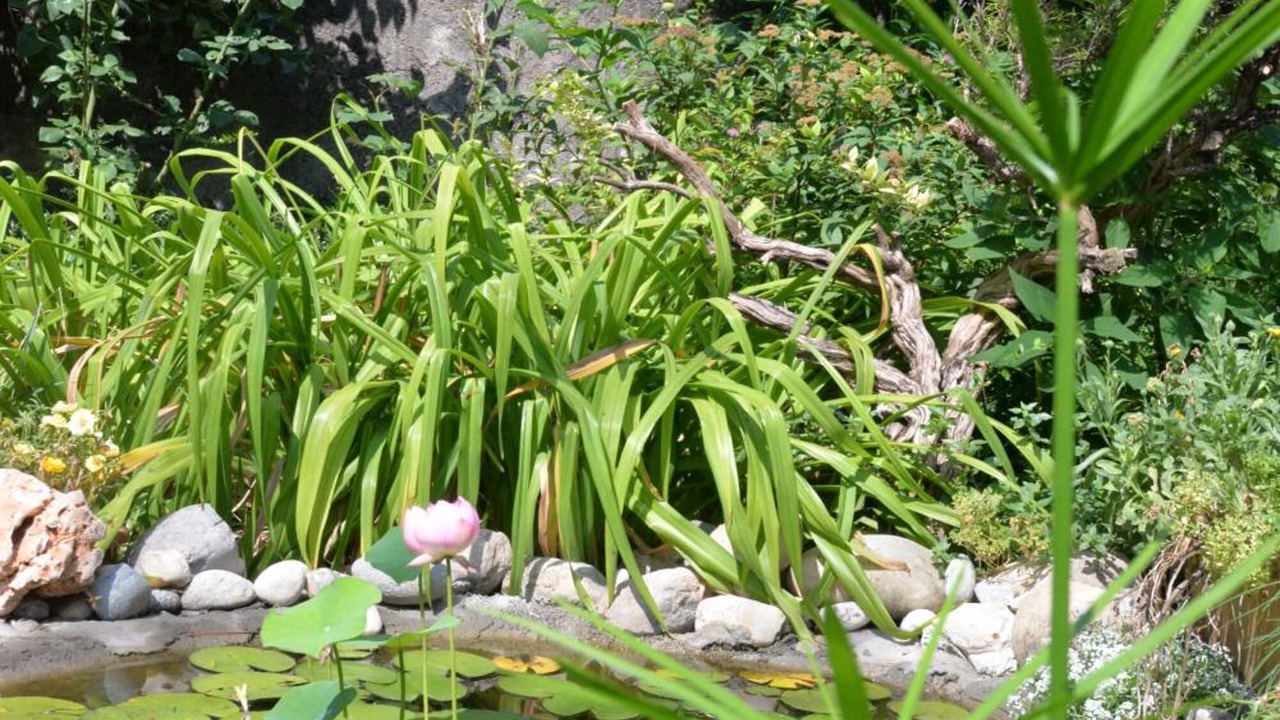 Photo of Outdoor in Trescore Balneario