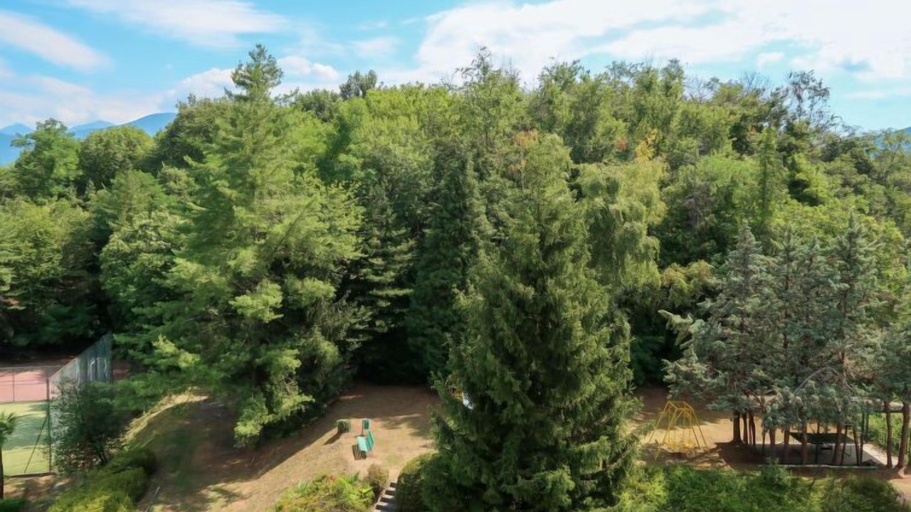 Photo of Outdoor in Euroville