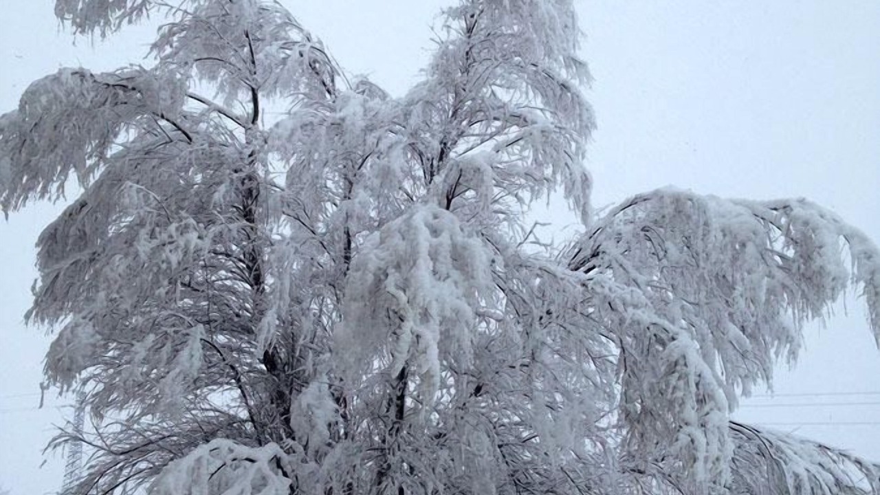 Photo of Outdoor in Bedizzole