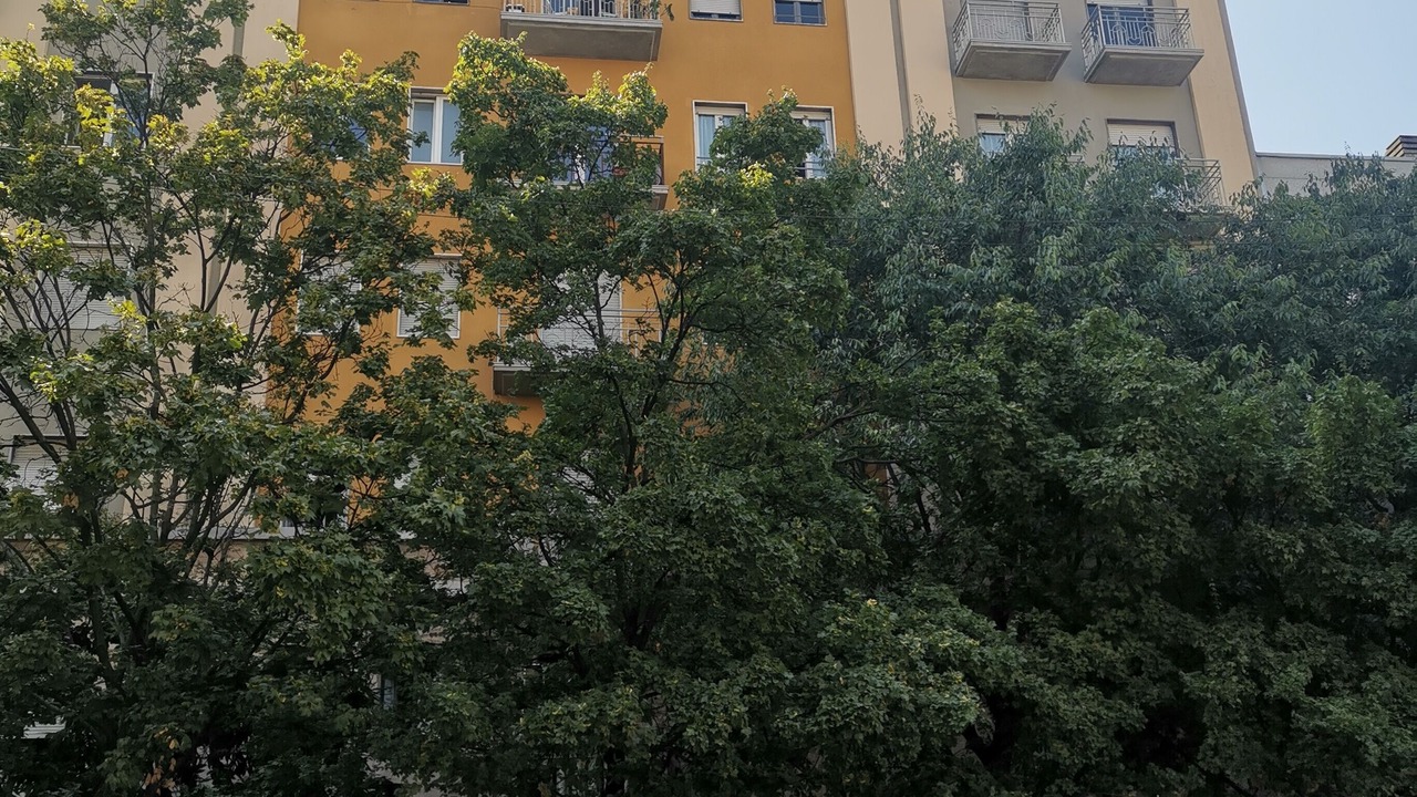 Photo of Outdoor in Bullona