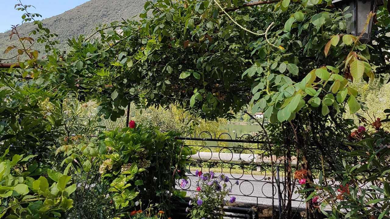 Photo of Outdoor in Endine Gaiano