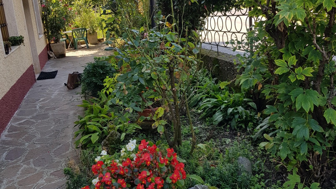 Photo of Outdoor in Endine Gaiano