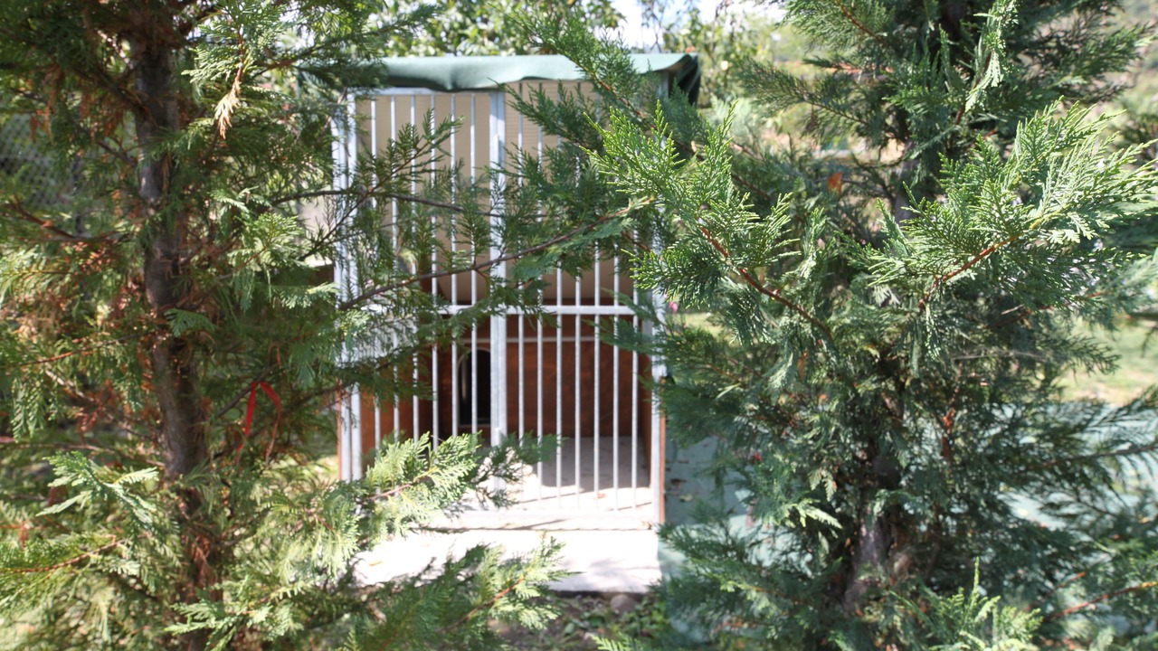 Photo of Outdoor in Valgreghentino