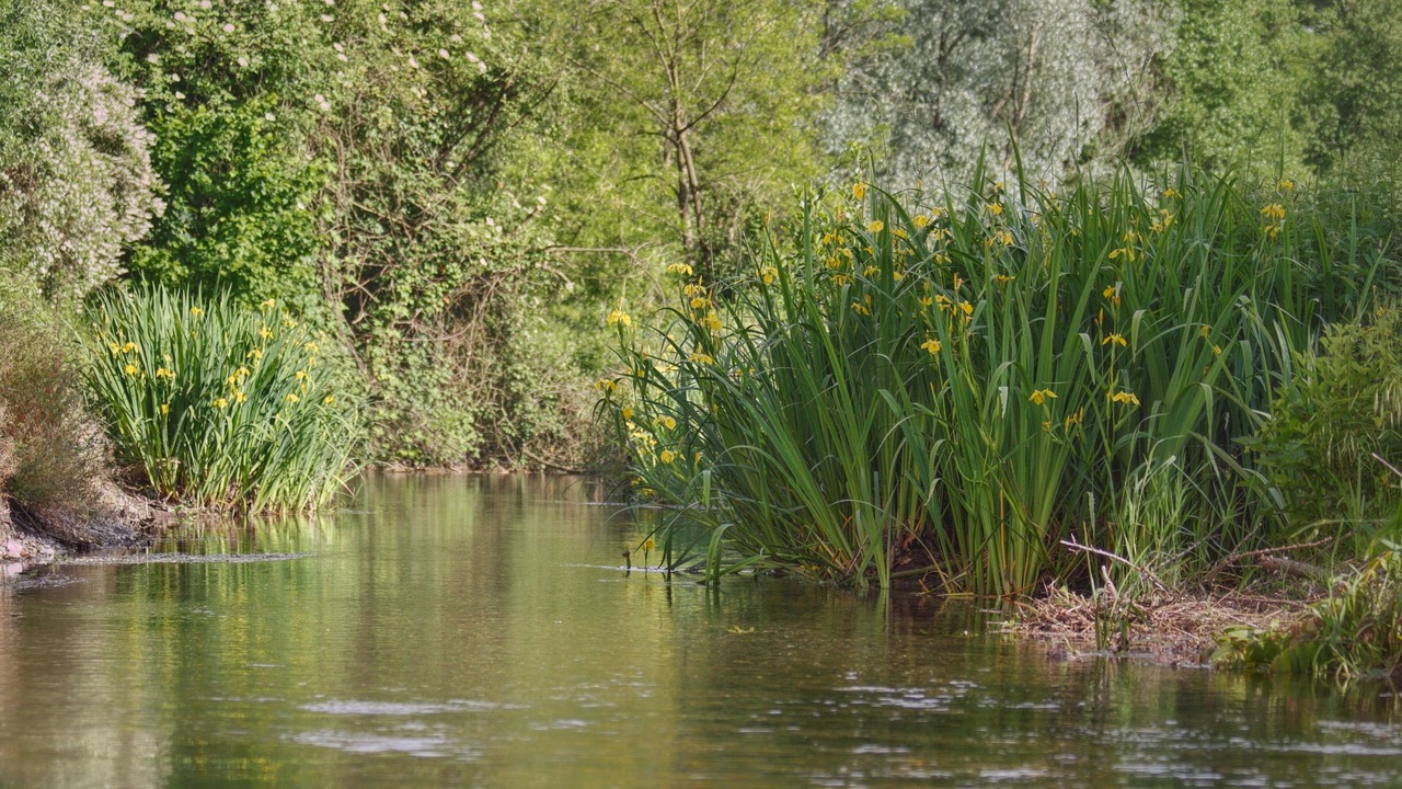 Photo of Outdoor in Lonate Pozzolo
