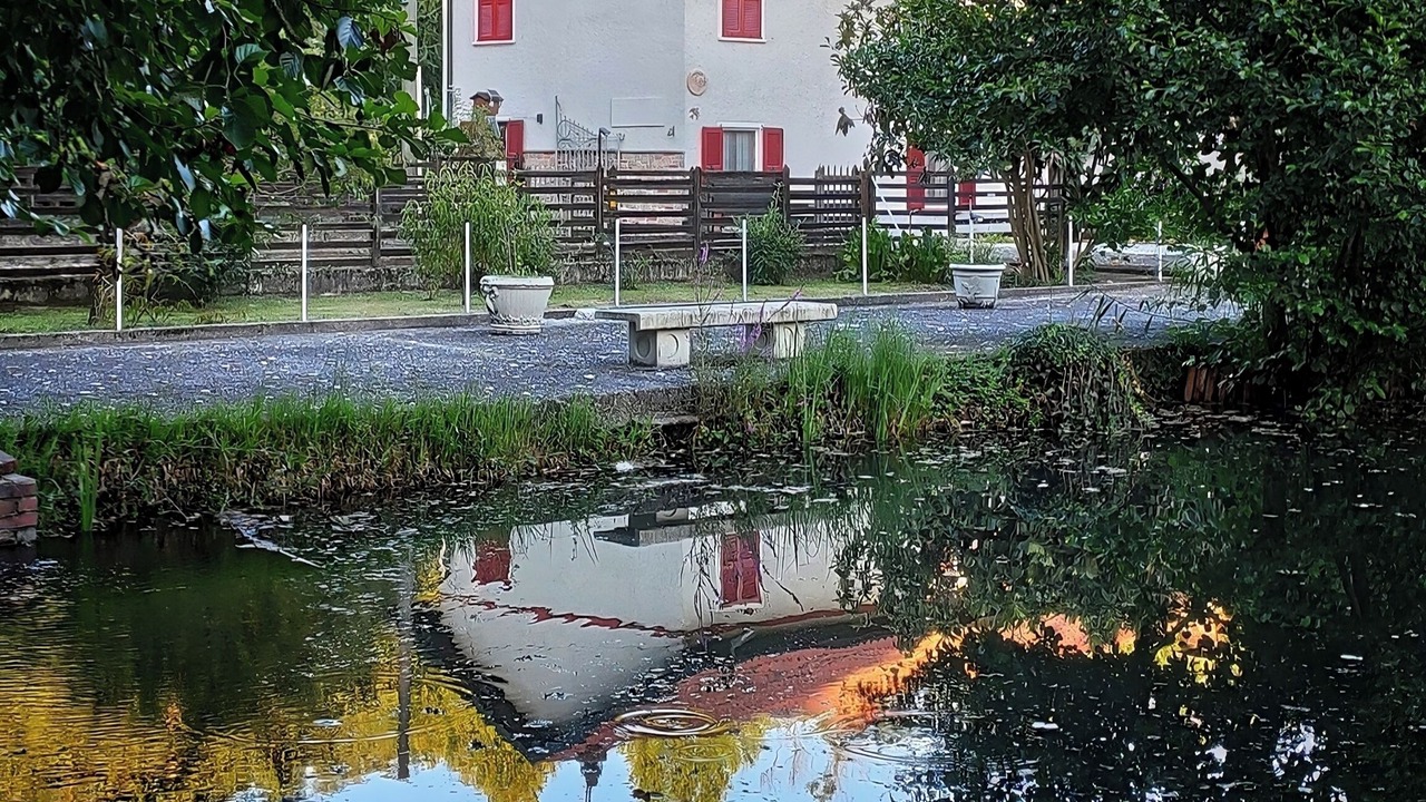 Photo of Outdoor in Lonate Pozzolo