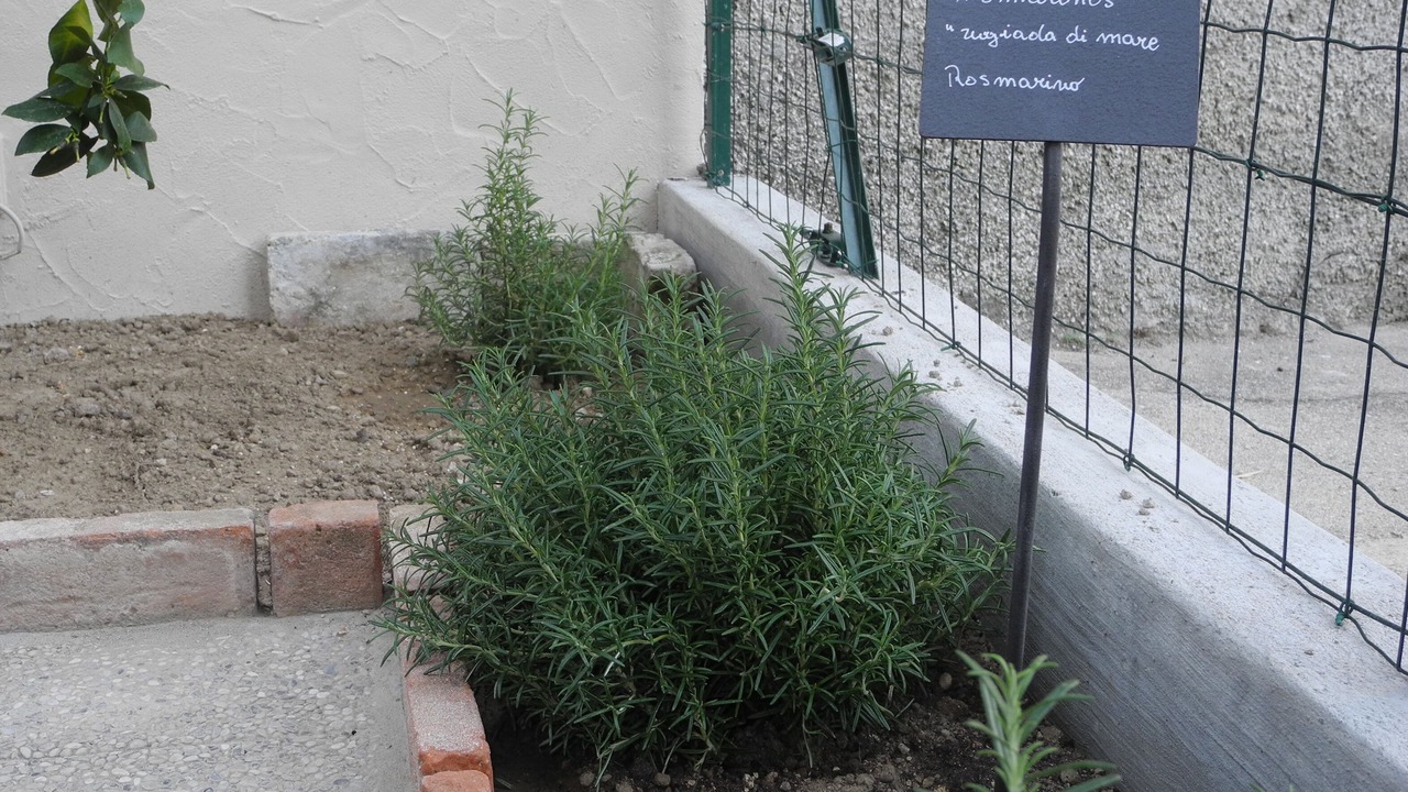 Photo of Outdoor in Gaino