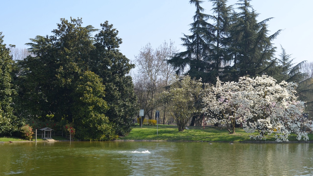 Photo of Outdoor in Milano 3