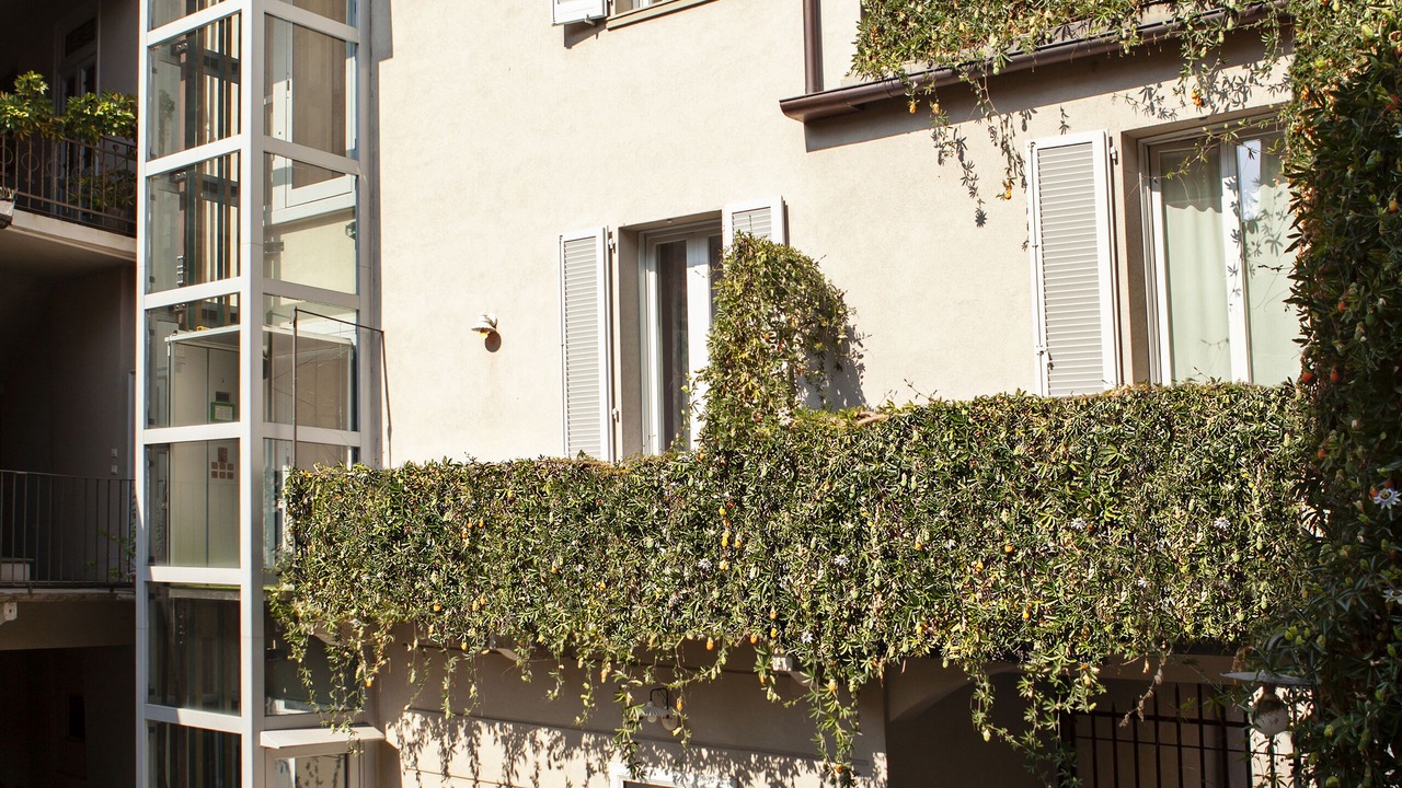 Photo of Outdoor in Vigevano