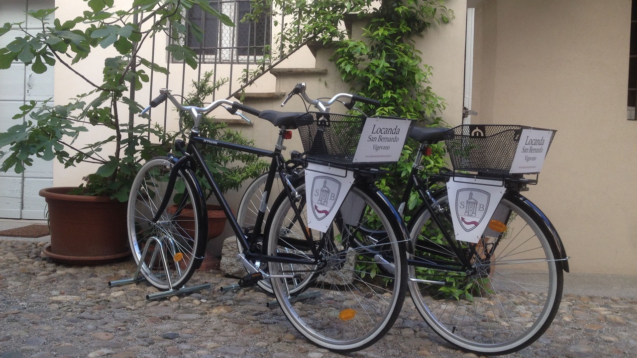 Photo of Outdoor in Vigevano