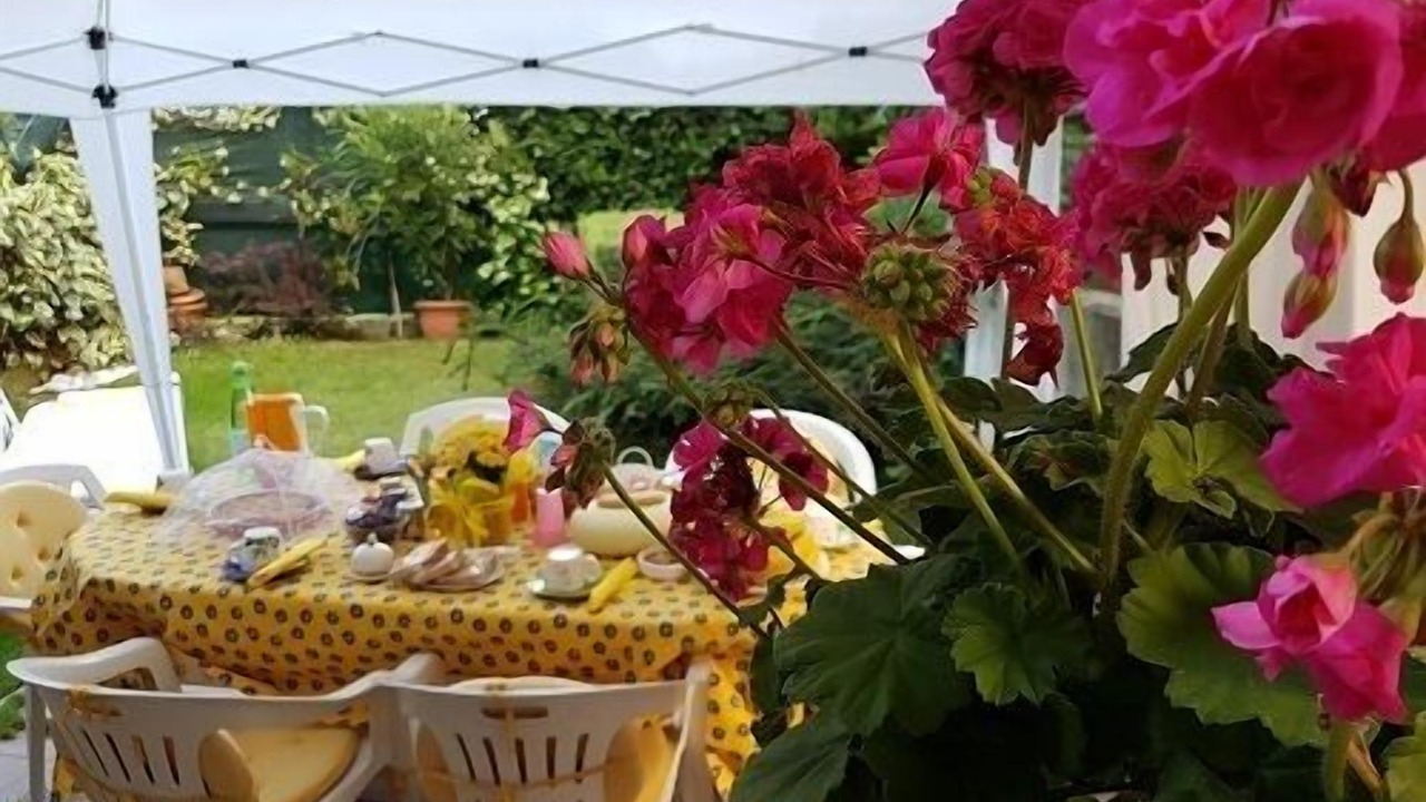Photo of Outdoor in Dalmine