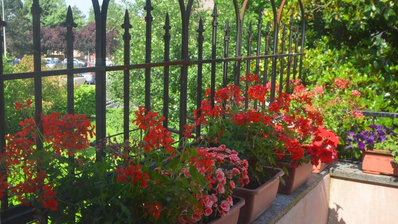 Photo of Others in Pavia
