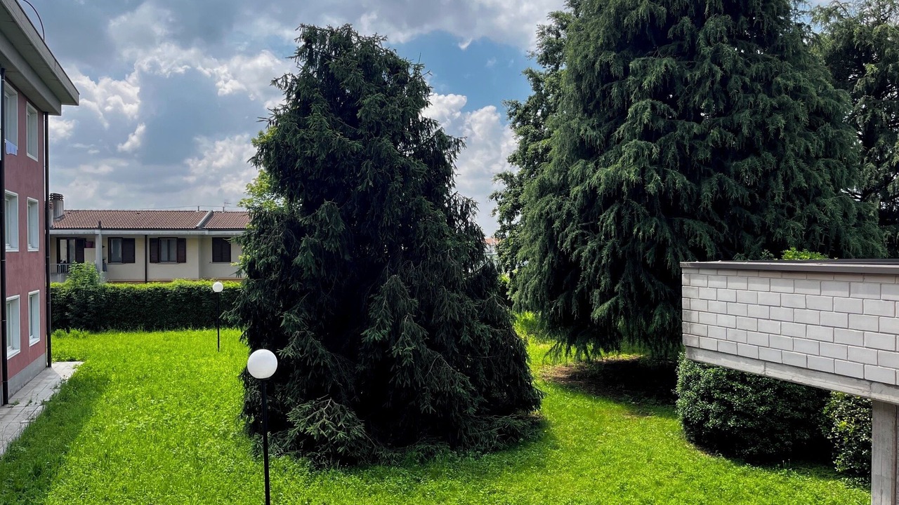 Photo of Outdoor in Treviolo