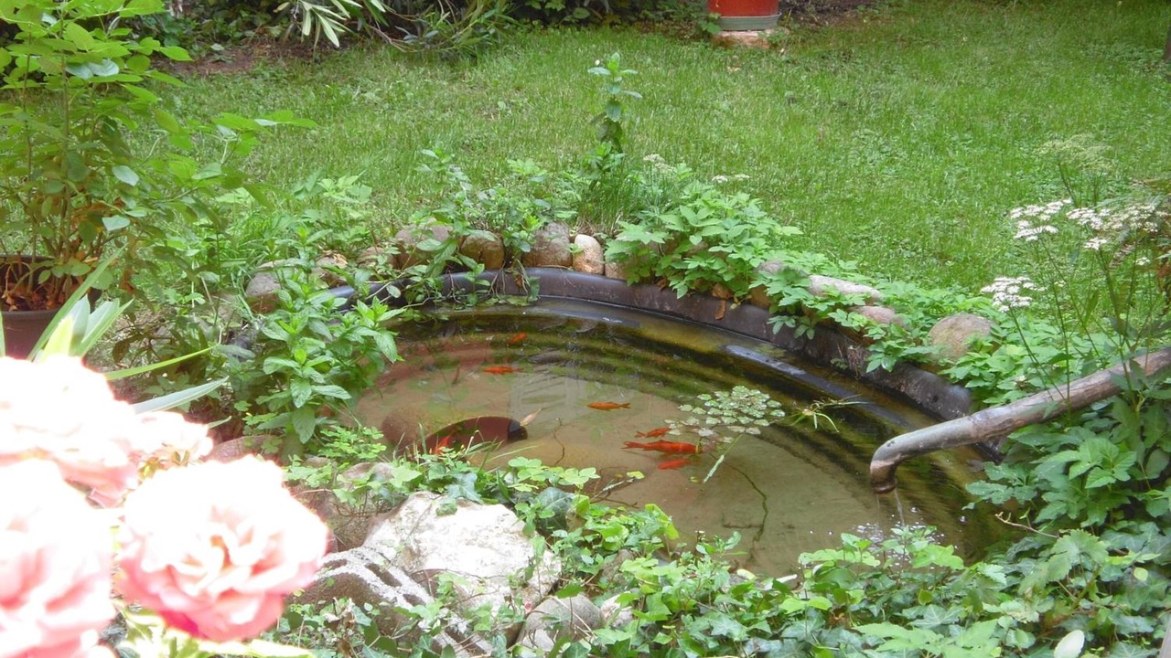 Photo of Outdoor in Mantua