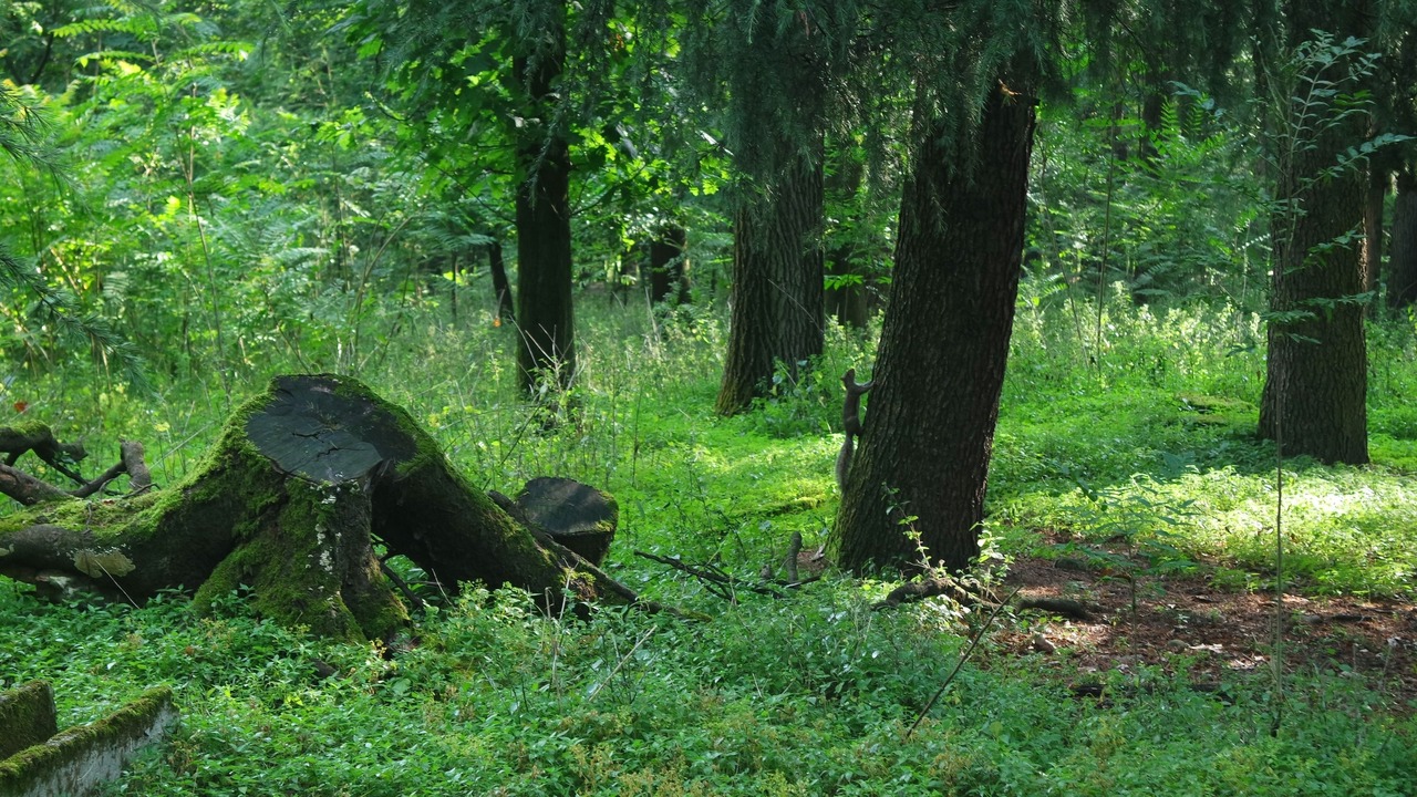 Photo of Outdoor in Vaprio d'Adda