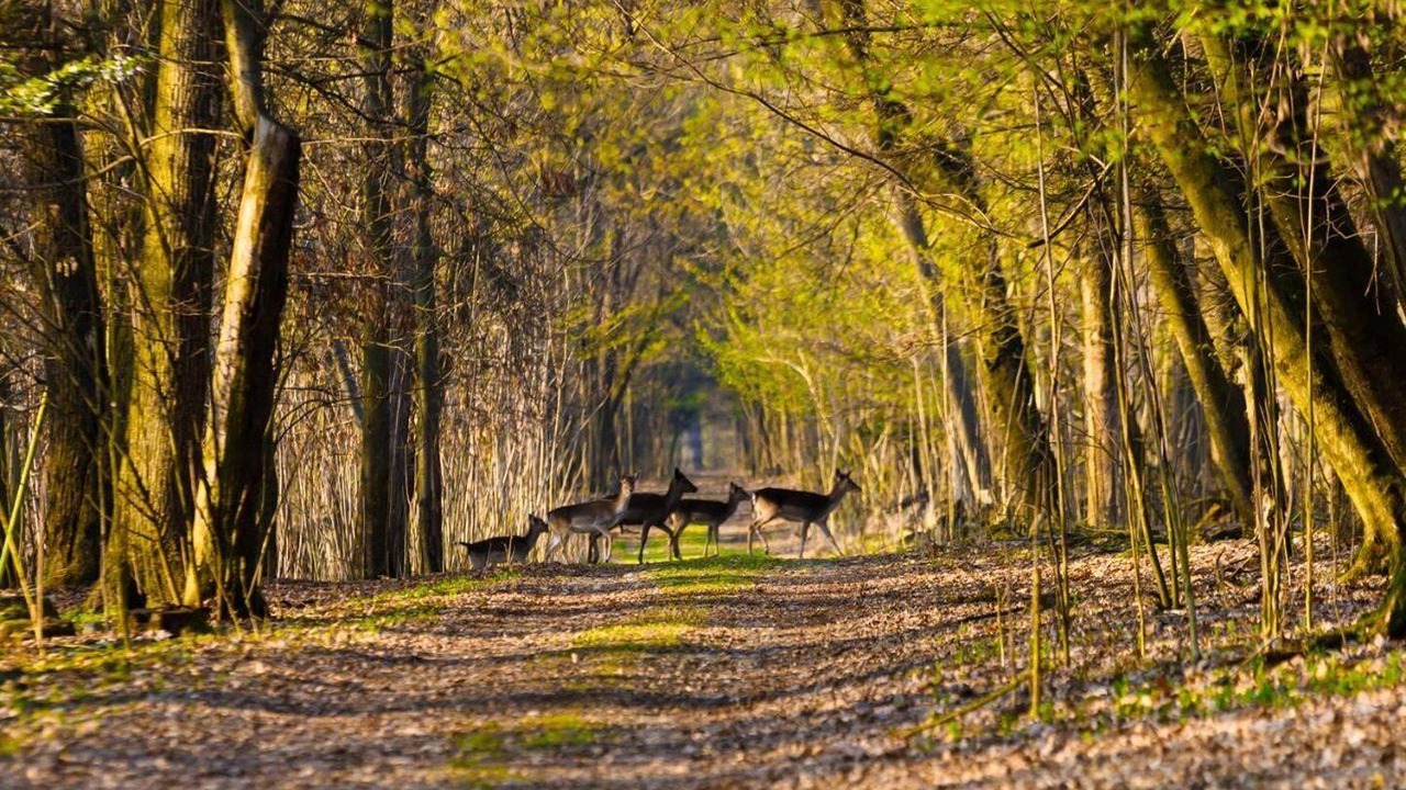 Photo of Outdoor in Vaprio d'Adda