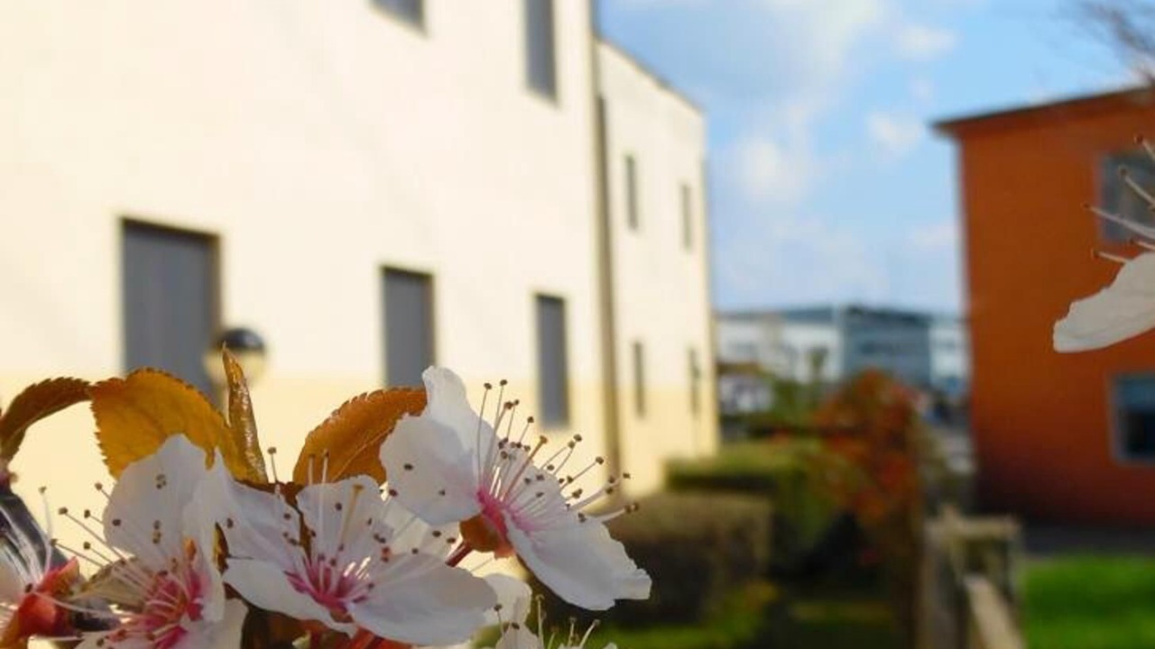 Photo of Outdoor in San Giuliano Milanese