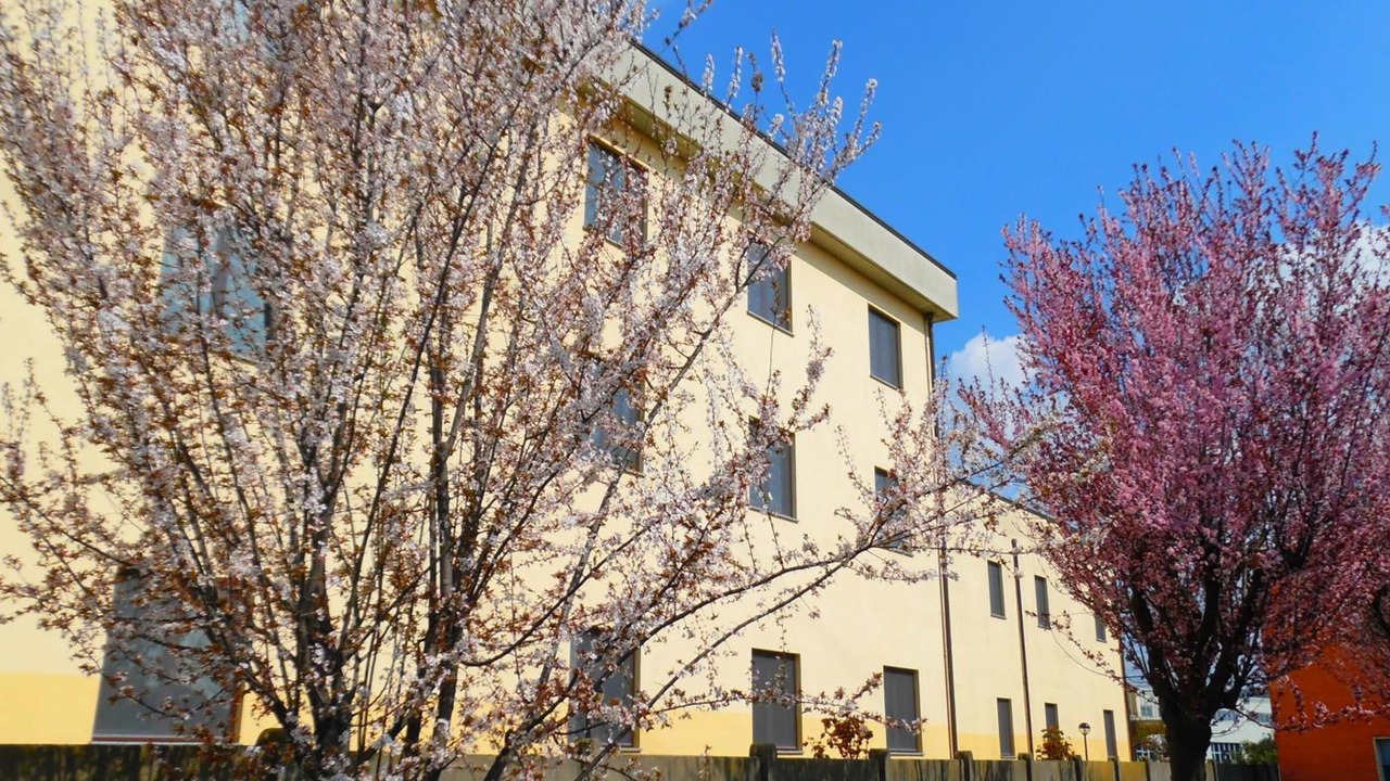 Photo of Outdoor in San Giuliano Milanese