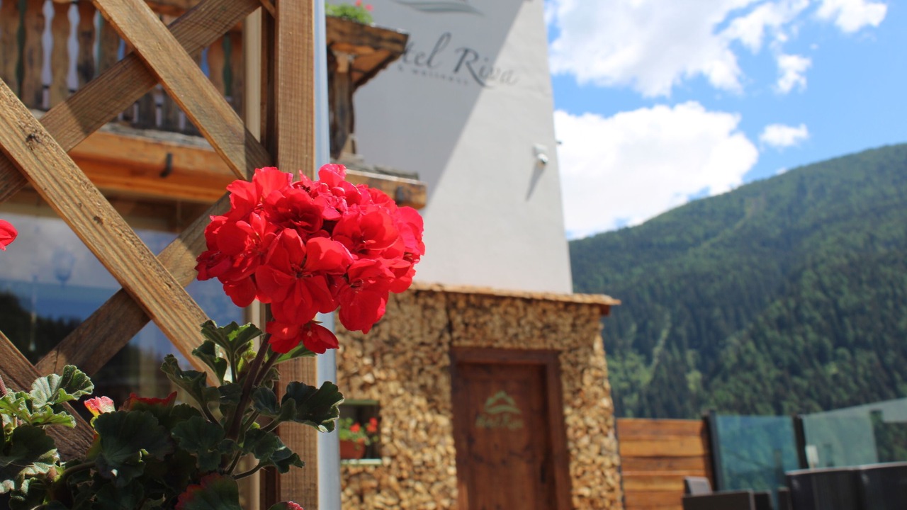 Photo of Outdoor in Vione