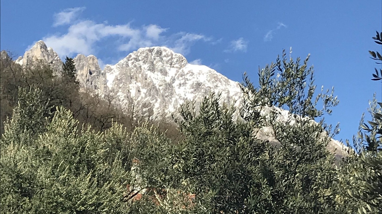 Photo of Others in Abbadia Lariana