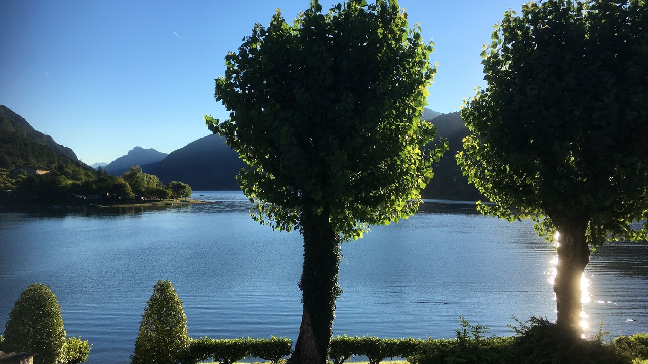 Photo of Outdoor in Crone