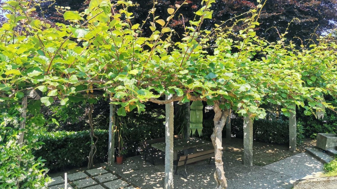Photo of Outdoor in Poppino