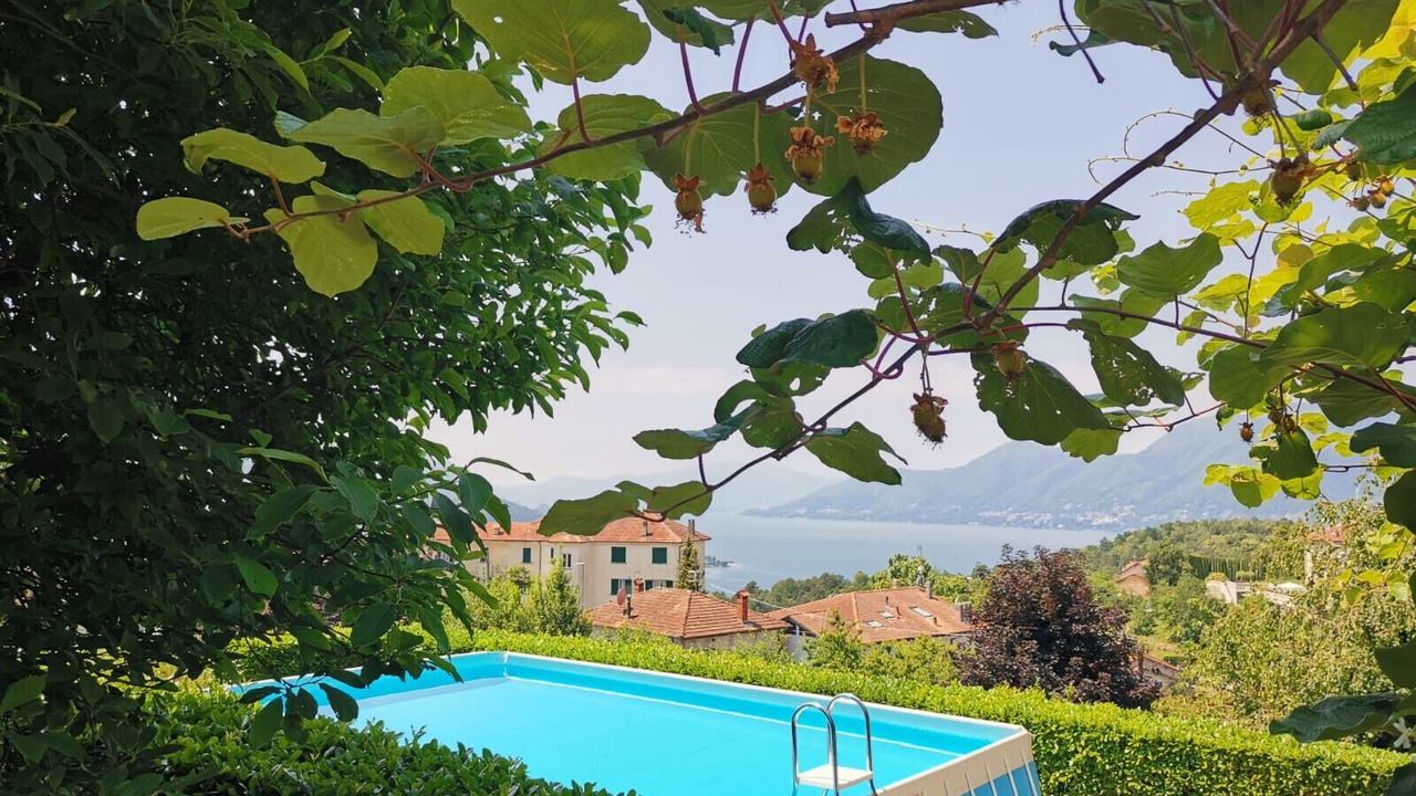 Photo of Outdoor in Poppino
