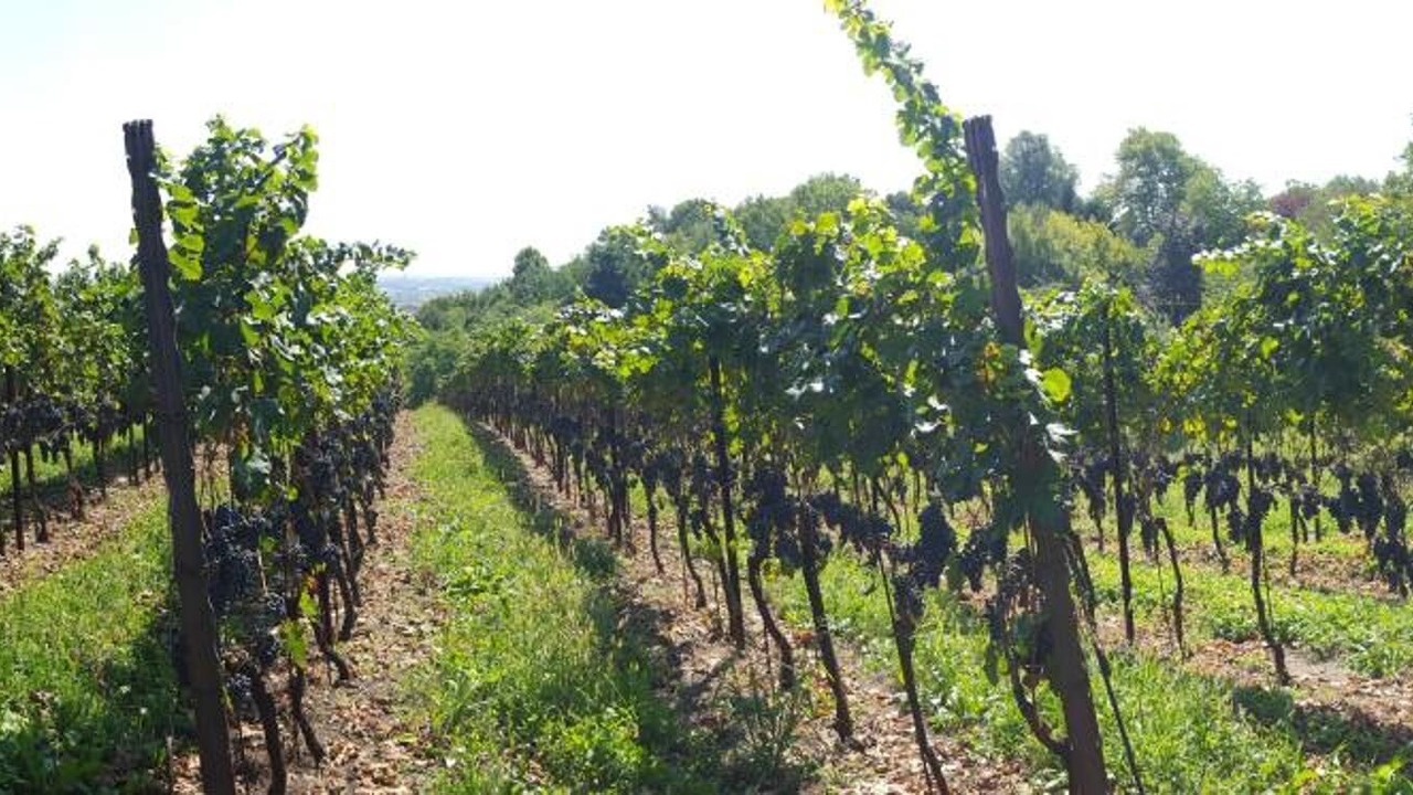 Photo of Outdoor in Bergamo