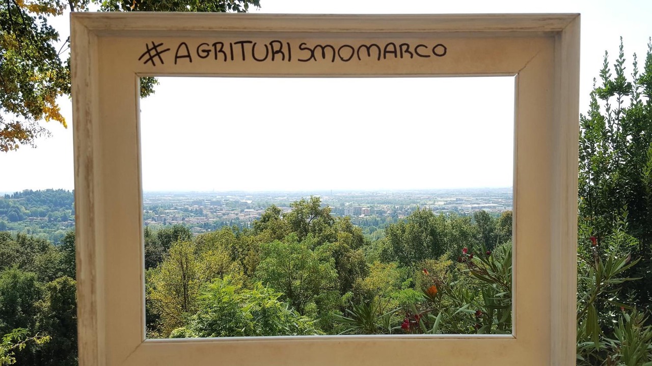 Photo of Others in Bergamo