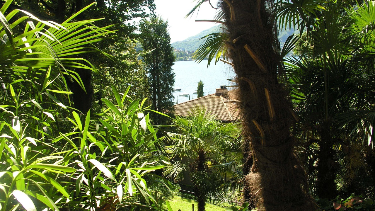Photo of Outdoor in Riva