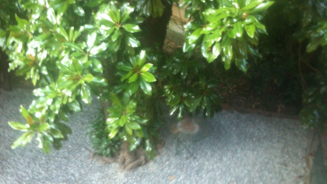 Photo of Outdoor in Riva