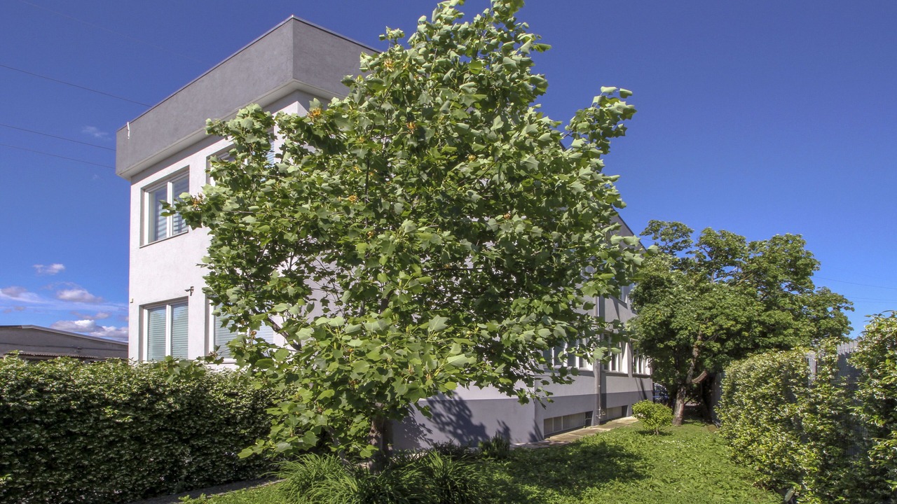 Photo of Outdoor in Cinisello Balsamo