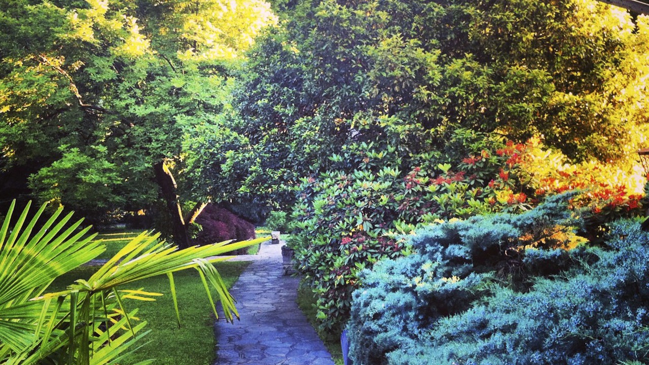 Photo of Outdoor in Grantola