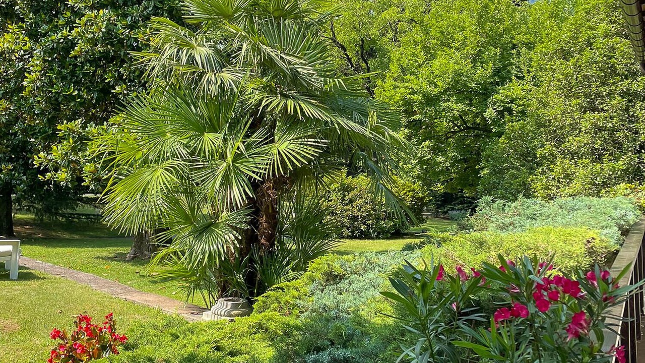 Photo of Outdoor in Grantola