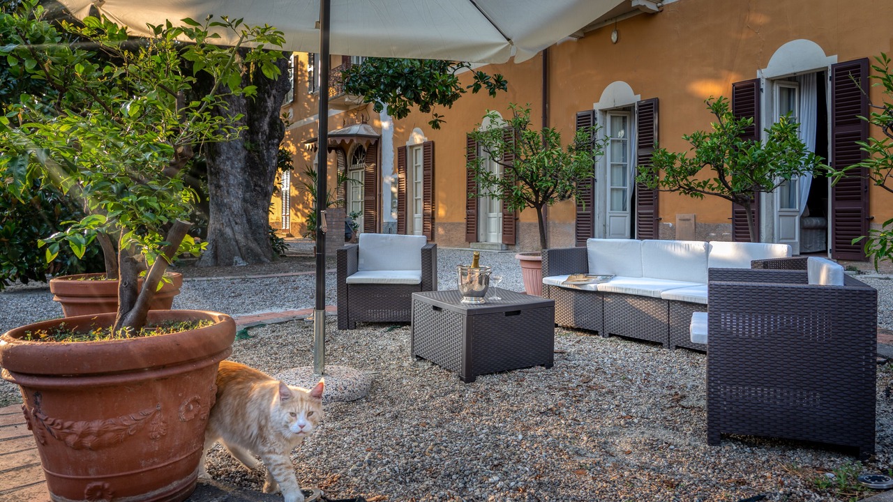 Photo of Outdoor in Zelata