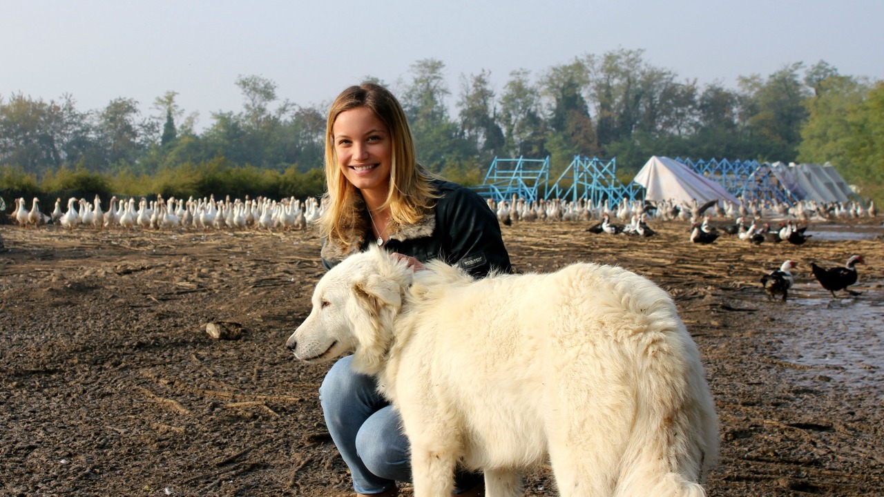 Photo of Others in Pregnana Milanese