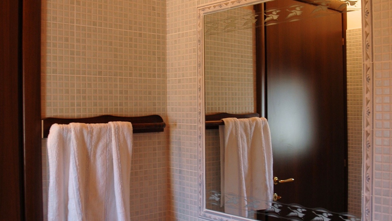 Photo of Bathroom in Pregnana Milanese