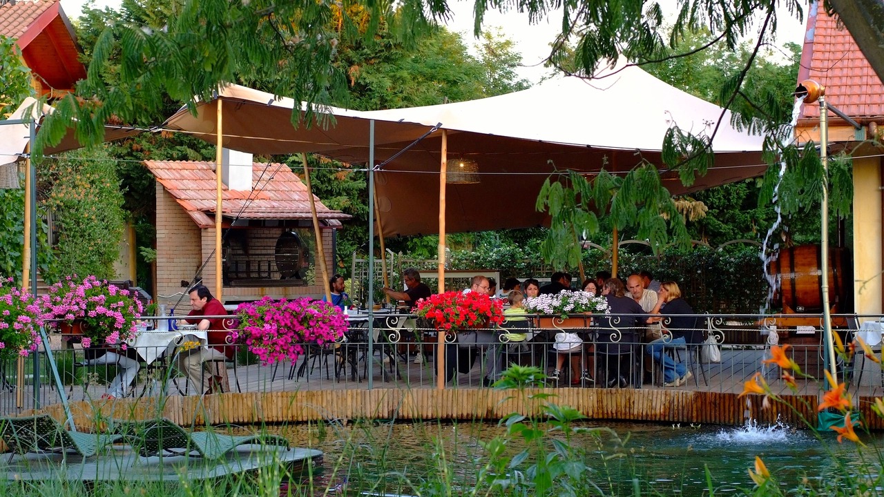 Photo of Outdoor in Pregnana Milanese