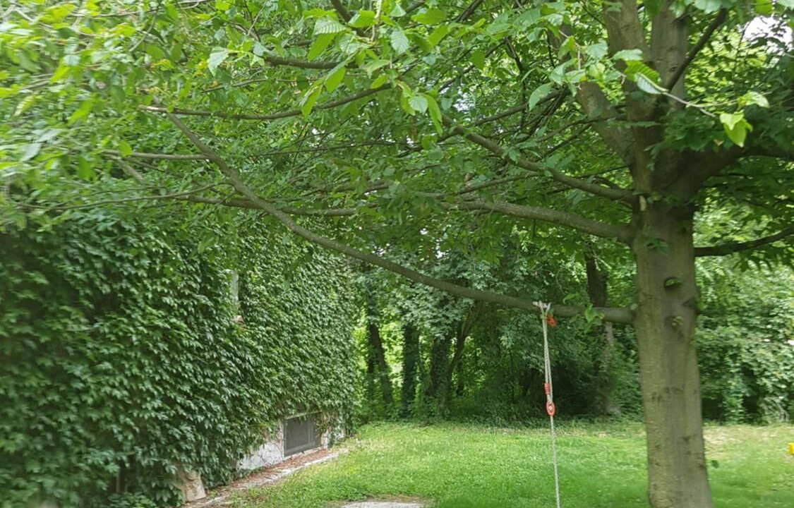 Photo of Outdoor in Vanzago
