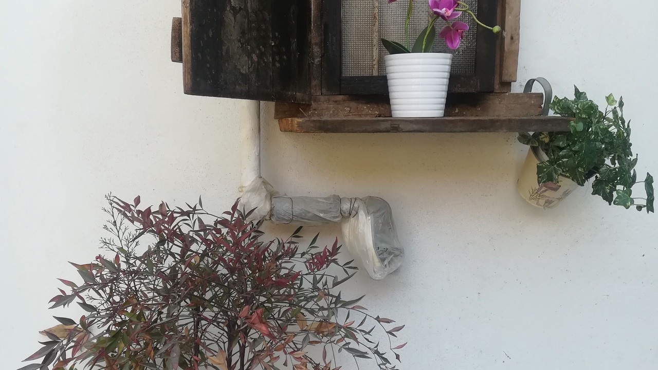 Photo of Outdoor in Carugate